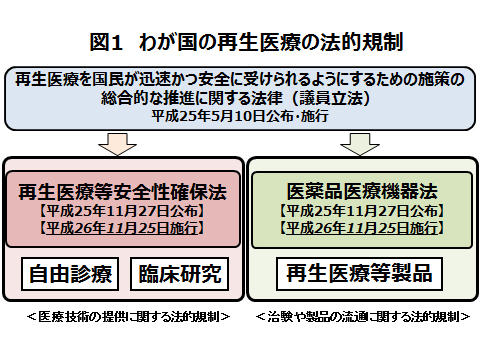 わが国の再生医療の法的規制